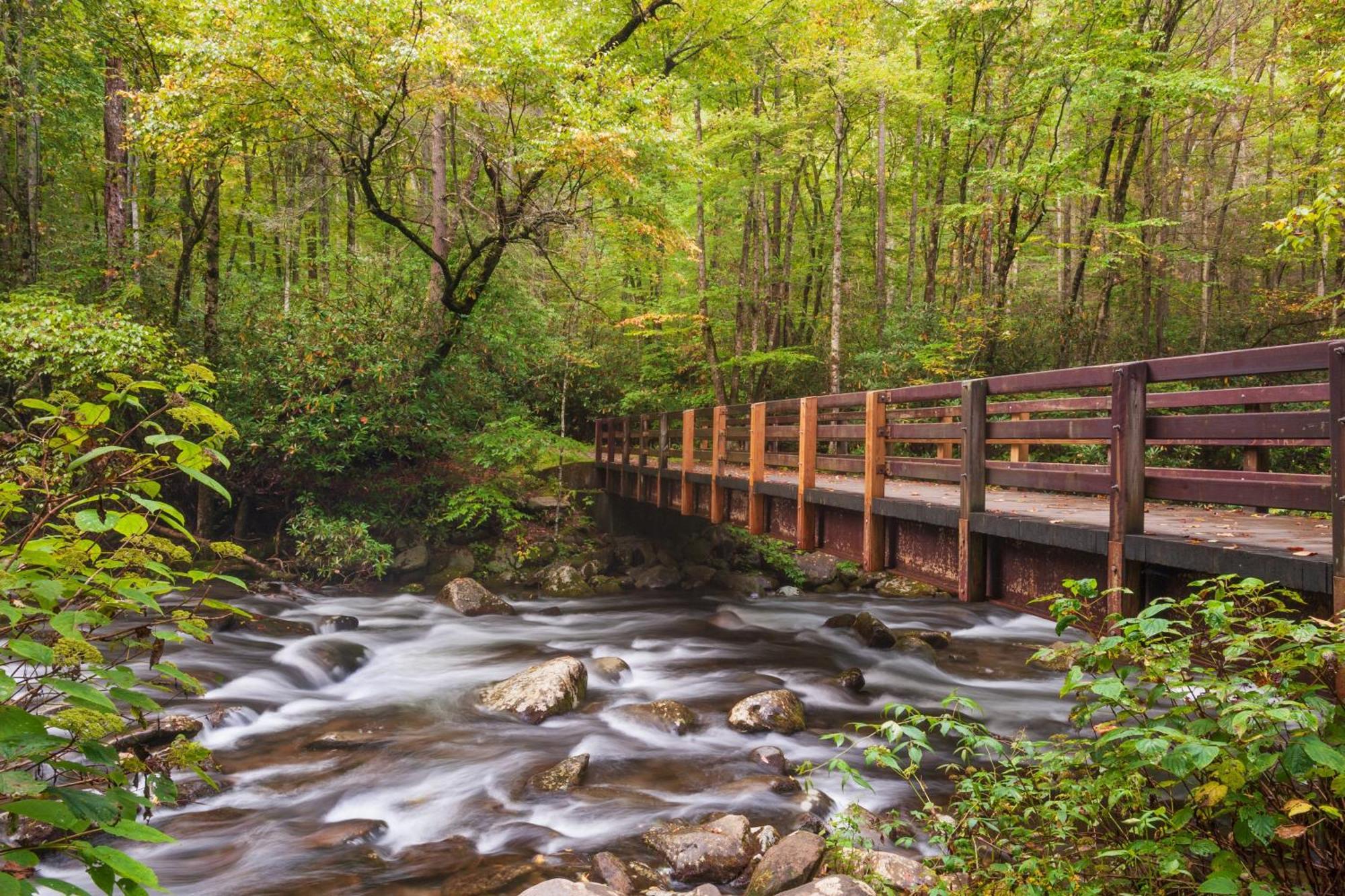 Lazy Bear Lodge, Hot Tub, Resort Pool, Wifi, 1089 Free Tickets Each Paid Day, Dollywood And More Гетлинбург Екстериор снимка